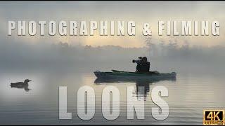 Photographing & Filming Common Loons in Maine from a Kayak - Wildlife Photography