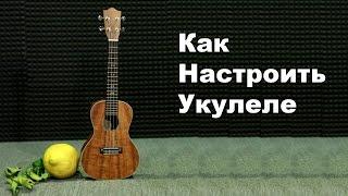 Как Настроить Укулеле | How To Tune A Ukulele