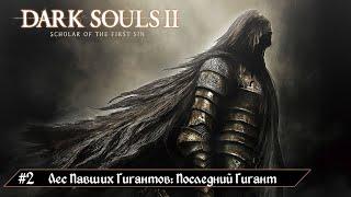 Прохождение Dark Souls 2: SotFS - Серия 2 | Лес Павших Гигантов: Последний Гигант