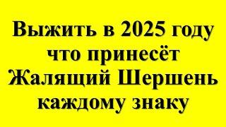 Славянский календарь на 2025 год под знаком Жалящего Шершня: к чему готовиться каждому знаку?