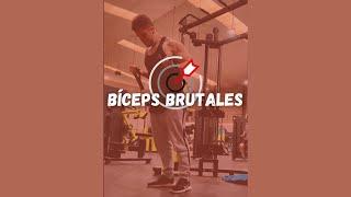 CURL BÍCEPS BAYASI | AngelFCoach