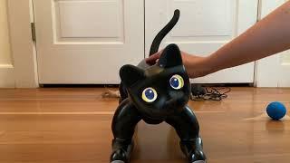 MarsCat Robotic Cat Unboxing and First Impressions