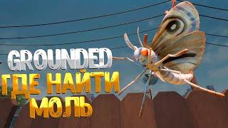 Grounded  ГДЕ НАЙТИ МОЛЬ / КАК СДЕЛАТЬ СНАРЯЖЕНИЕ ИЗ МОЛИ  / MOTH ARMOR