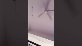 The fan will give air and will also give rasgullas #shorts #youtubeshorts #youtube #funny #fans #...