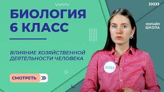 Влияние хозяйственной деятельности человека. Видеоурок 34. Биология 6 класс