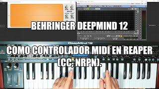 Behringer DeepMind 12 como controlador MIDI en Reaper (CC, nrpn).