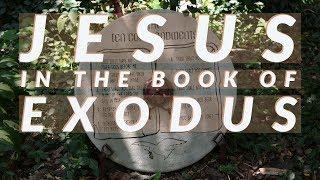 Jesus in the Book of Exodus (Abortions, Angel of The Lord, Trinity)