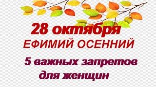 28 октября.ЕФИМОВ ДЕНЬ. Что нельзя делать. Что обещают приметы погоды