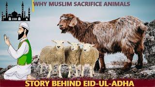 Story Behind Eid-Ul-Adha |Why Muslims Sacrifice Animals