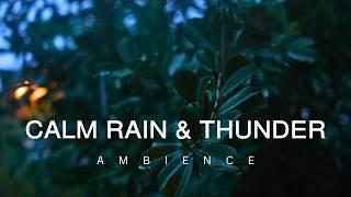 10 Hour | Rain Falling on Leaves with Distant Thunder & Wind Sounds | Relaxing Nature Ambience