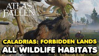 Atlas Fallen - Caladrias: Forbidden Lands All Wildlife Habitat Locations