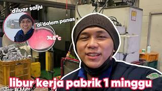 1 MINGGU LIBUR KERJA PABRIK KOREA 