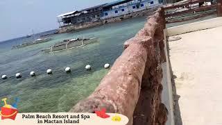 Mid High End Resort in Mactan Island - Palm Beach Resort and Spa Experience