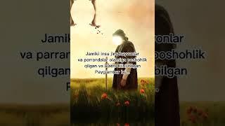 0009  Iymon ahli  #ummat #islom #iymon #taqvo #muslim #quron #ummatga yetkazing