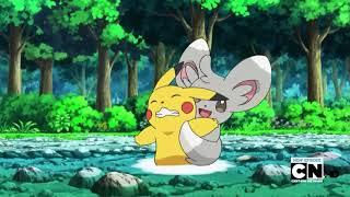 Minccino tickles Pikachu! Pokémon Black & White