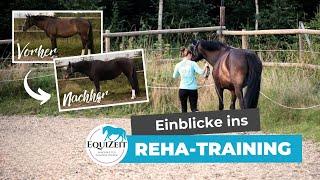 Einblicke ins Reha-Training | #bodenarbeit #rehatraining