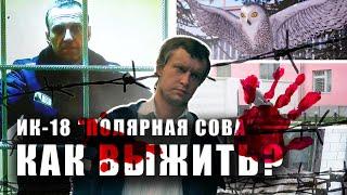 КАК ВЫЖИТЬ I "ПОЛЯРНАЯ СОВА" ИК-18: ТЮРЬМА, ОТКУДА НЕ ВЫХОДЯТ I БИТЦЕВСКИЙ МАНЬЯК I НАВАЛЬНЫЙ