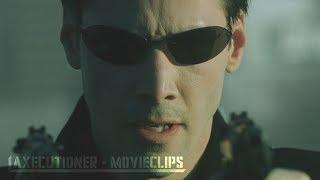 The Matrix |1999| All Fight Scenes [Edited]