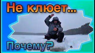 Почему не ловится рыба на мормышку.Топ-10 причин.