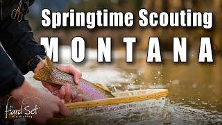 Springtime Scouting (Fly Fishing Montana)