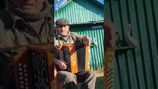 Михаил Иванович Литиков гармонист #экспедиция ethnotrip folk expedition фольклорная экспедиция