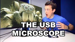 USB MICROSCOPE REVIEW!