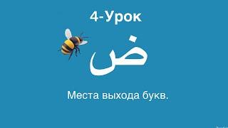 Арабский алфавит • Махрадж аль-Хуруф • ض • Урок-4 // #арабскийалфавит #махраджи #ислам #тажвид