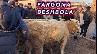 BESHBOLA MOL BOZORI narxlari. FARGONA