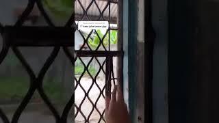 tanam gigi - tiktok Susanto Gouw #shorts