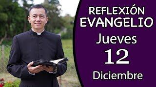 Evangelio de Hoy Jueves 12 de Diciembre de 2024  Lectura y Reflexión