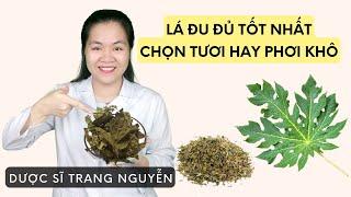 Lá đu đủ đực phơi khô hay lá tươi nấu nước uống có tác dụng tốt nhất | Dược Liệu | DS Trang Nguyễn