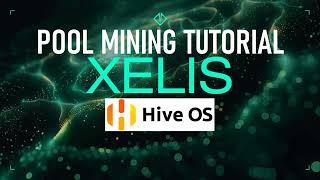 XELIS POOL MINING HIVEOS TUTORIAL