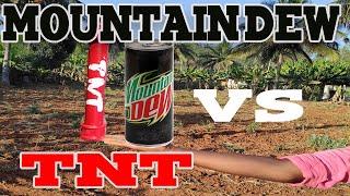 mountain dew VS TNT DP LABS