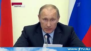 Путин разнес в щепки работу лесной отрасли