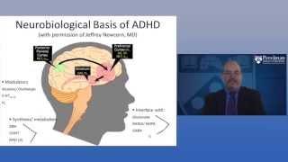 The Neurobiology of ADHD