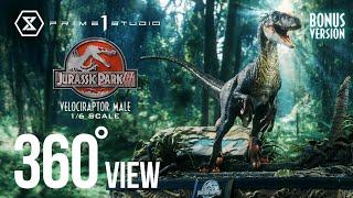 LMCJP-10 VELOCIRAPTOR MALE (JURASSIC PARK III) 360°