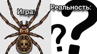 СУЩЕСТВА В РЕАЛЬНОСТИ из Pocket Ants