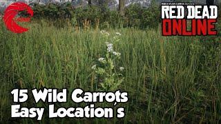 Wild Carrots Locations rdr2 Online - Red Dead Online Wild Carrots Location Guide