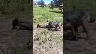 Great survival skills v131 #shorts #shortsfeed