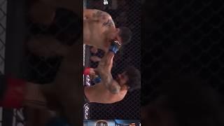 Пантожа vs Асакура. UFC310, молодого сводят в школу или у нас новый чемп? Азиаты худшие бойцы? #мма