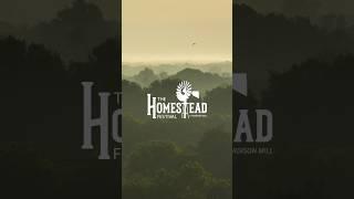 The Homestead Festival Highlights #homestead #homesteading