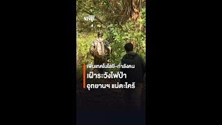 เพิ่มเทคโนโลยี-กำลังคน เฝ้าระวังไฟป่า อุทยานฯ แม่ตะไคร้ | Thai PBS News