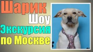 Шарик Шоу - Экскурсия по Москве (выпуск 19)