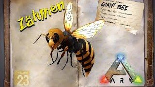 ARK‬: Survival Evolved [GUIDE/Deutsch] ** Giant Bee - Riesen Biene zähmen - Honig ** Patch 257