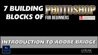 Introduction to Adobe Bridge 2020