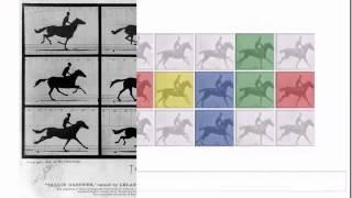 Eadweard J. Muybridge´s 182nd Birthday - Google Doodle