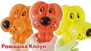 КАК СДЕЛАТЬ СОБАЧКУ ИЗ ДЛИННОГО ШАРИКА Balloon Animal Dog DIY como hacer un perro con un globo