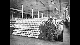 The hidden cost of the American Industrial Revolution