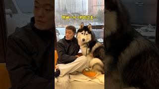 養了小狗後，每次它一有什麼問題，我就變成了全世界最膽小的人