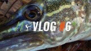 Maelstrom Fishing Vlog #6: Lake Pike and Perch